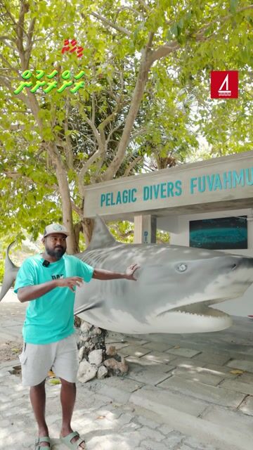 ރޯޒް އާއި އެކަހެރި ރަށް މަޝްހޫރުވި ގޮތް