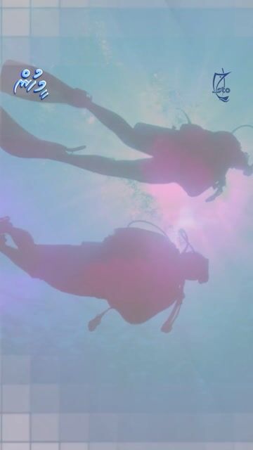 ހަނދާންތައް މާ ފުނުގައި، މައްޗަށް އެރީ ހިތްވަރުން