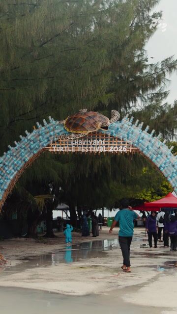 ޓާޓަލް ފެސްޓިވަލްގައި ދަރިވަރުންގެ ގިނަ ހަރަކާތްތަކެއް