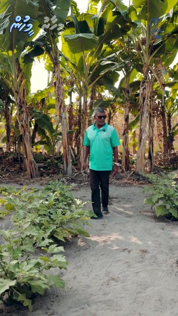 ދަނޑުވެރިކަމުގައި ޒަރީރު ދުވަހަކު ވެސް މީހަކަށް އޮޅުވާލައި މަކަރެއް ނުހަދާ