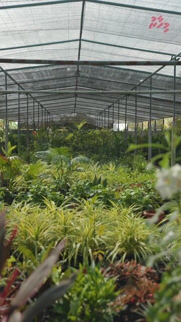 ވެލާނާ އެއާޕޯޓު ފެހިކޮށް، ހިތްގައިމުކަން ގެނެސްދޭ ޓީމު