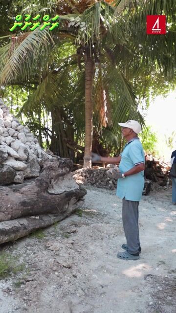 ނޮޅިވަރަމްގައި އުވަދަވައިގެން ދުފާ ހުނި އުފެއްދުން